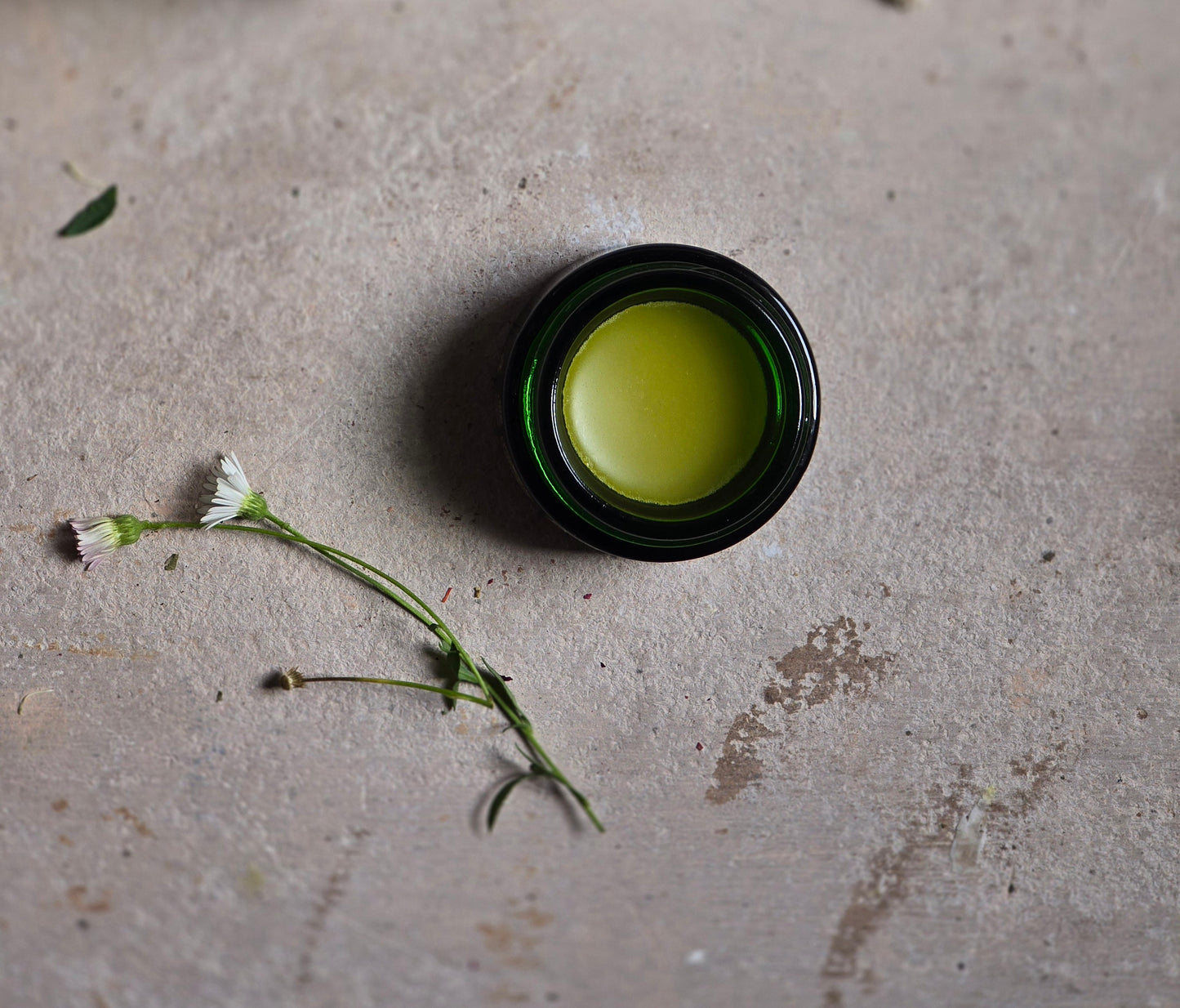 nourishing natural delicious vanilla lip balm