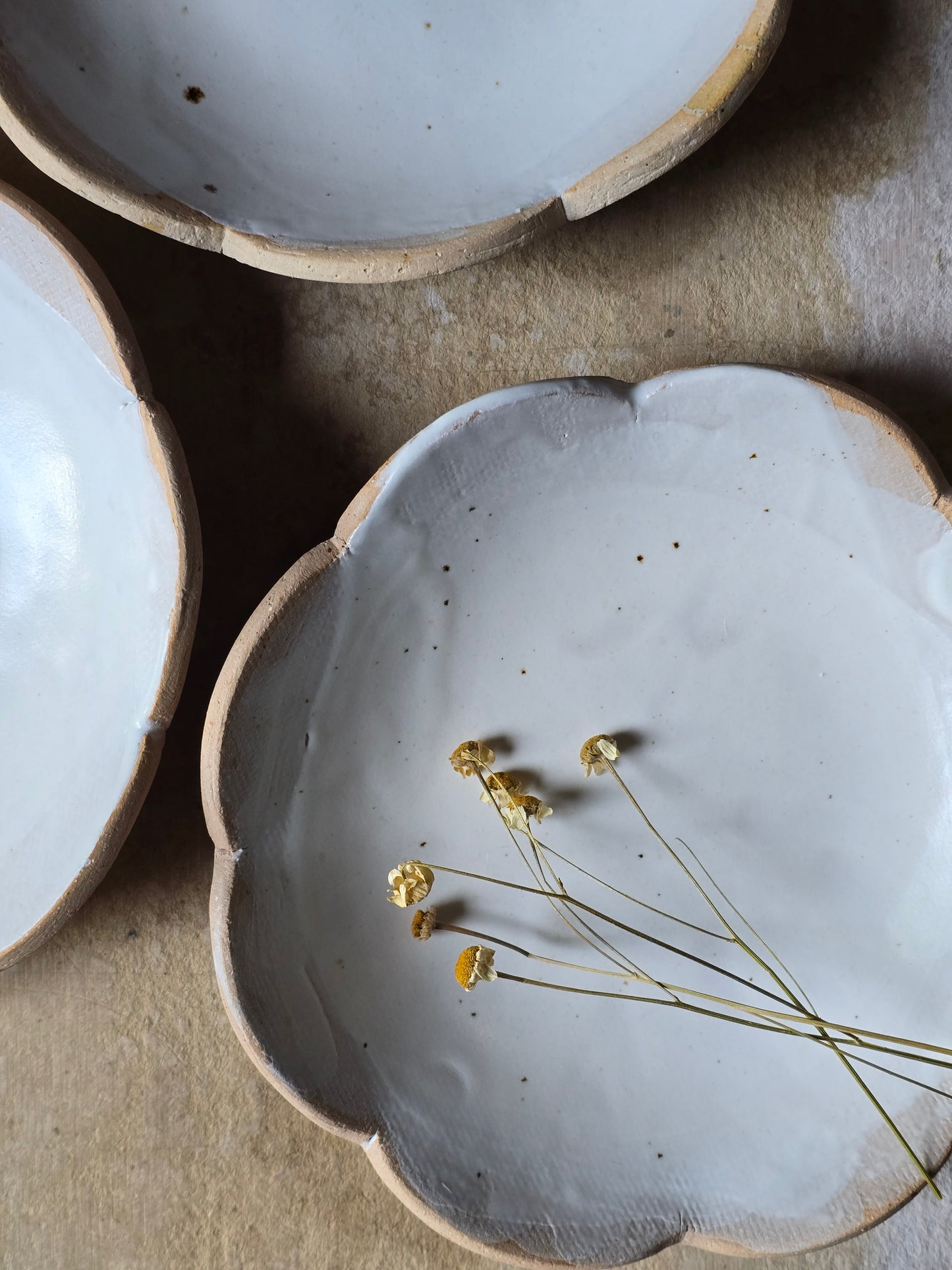 Handmade Scalloped Ceramic Bowl | Satin Glaze Interior with Raw Biscuit Clay | Unique Rustic Pottery Bowl | Dessert | Ice Cream Bowl | Artisan Tableware