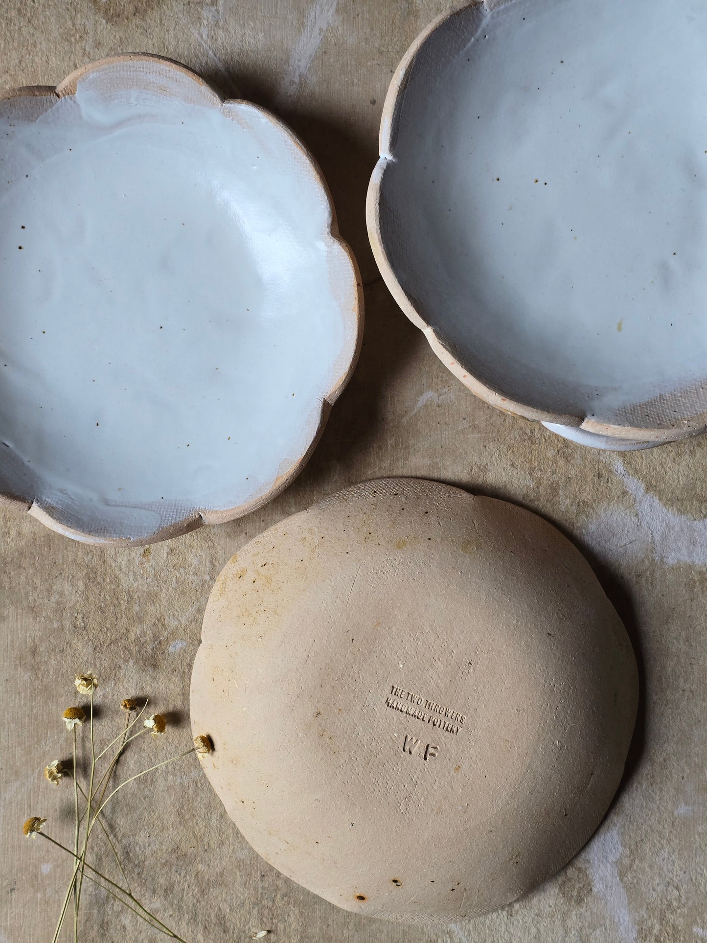 Handmade Scalloped Ceramic Bowl | Satin Glaze Interior with Raw Biscuit Clay | Unique Rustic Pottery Bowl | Dessert | Ice Cream Bowl | Artisan Tableware