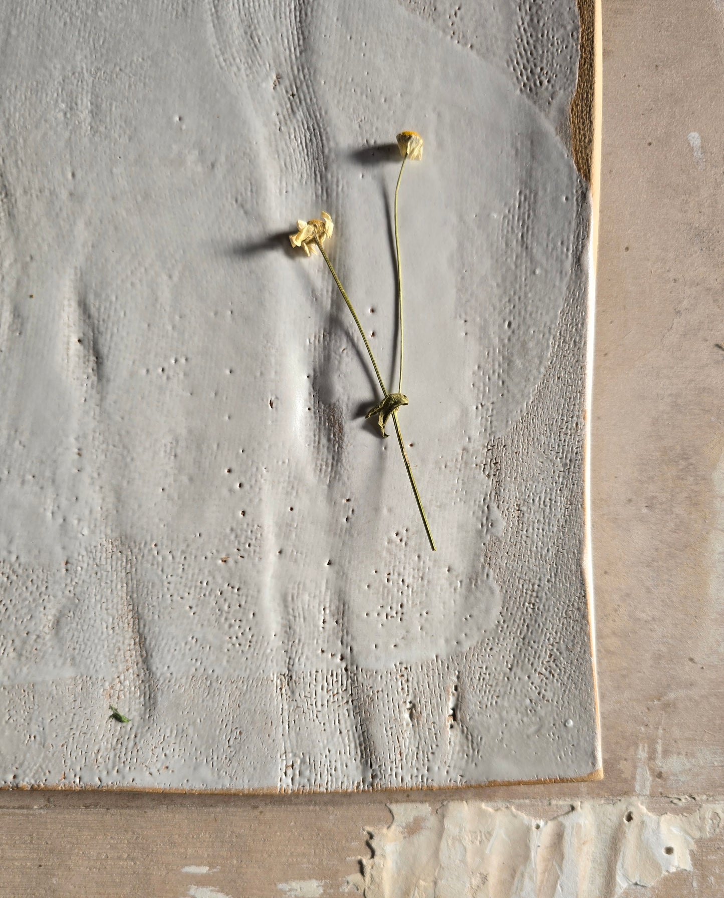 Rustic Textured Ceramic Serving Board – Handcrafted Buff Biscuit Clay Cheese Platter