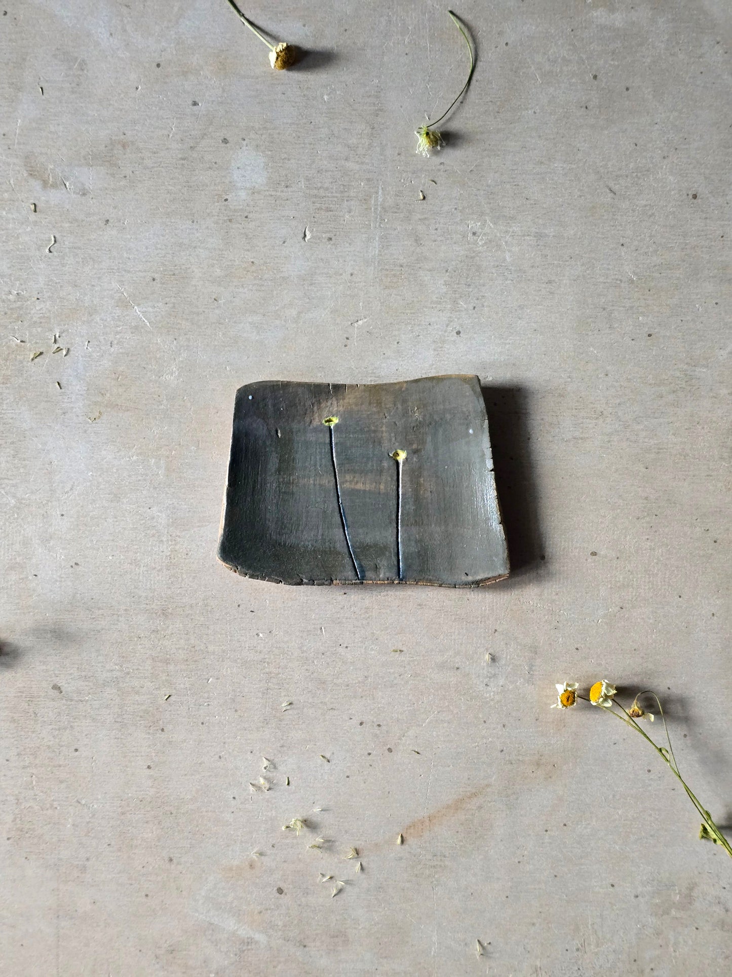 Hand-Painted Trinket Trays – Nature-Inspired Ceramic Catchalls | Multi-Use Decorative Dishes