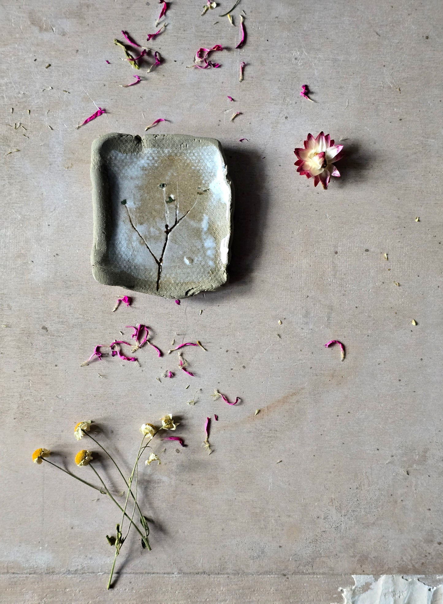 Hand-Painted Trinket Trays – Nature-Inspired Ceramic Catchalls | Multi-Use Decorative Dishes