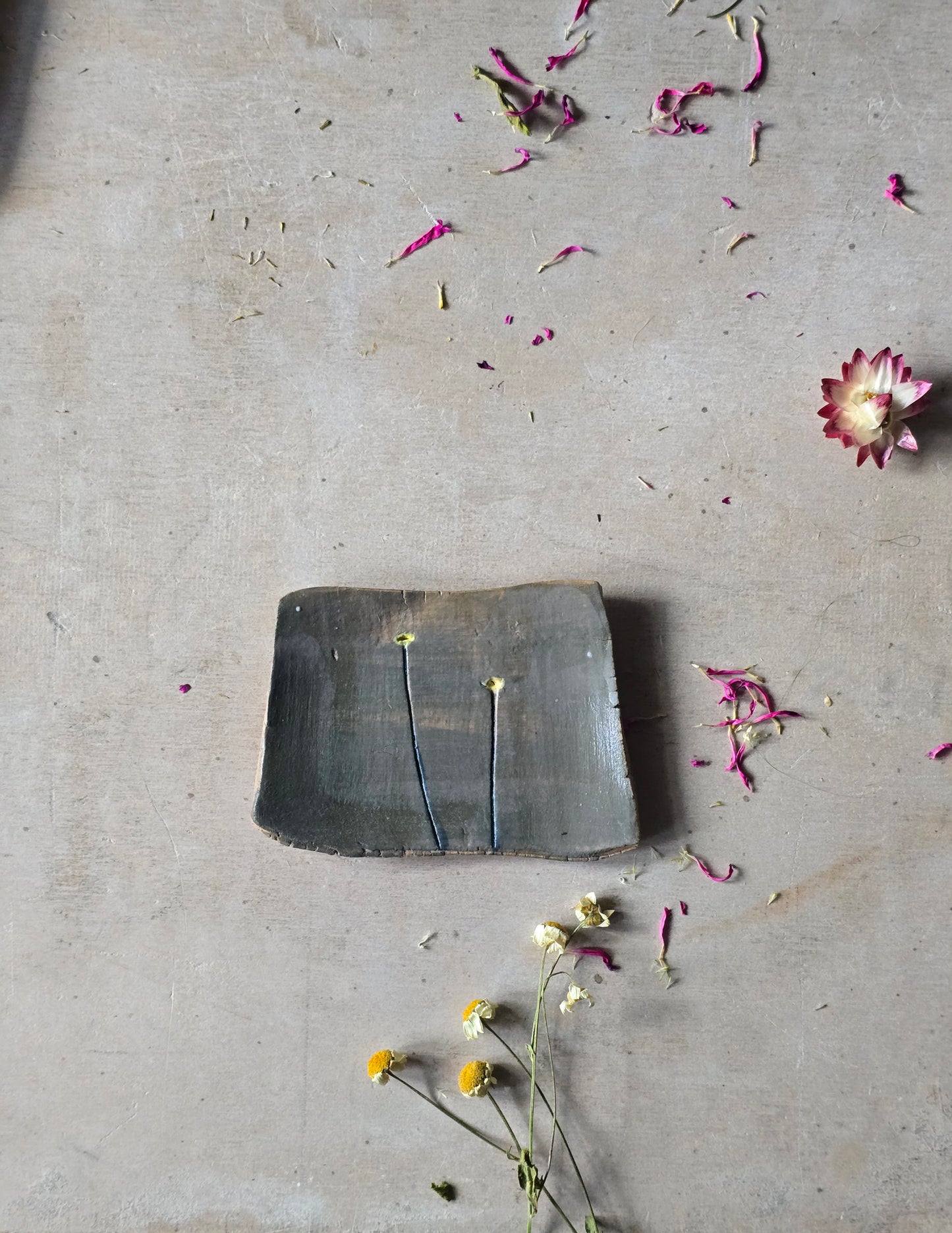 Hand-Painted Trinket Trays – Nature-Inspired Ceramic Catchalls | Multi-Use Decorative Dishes