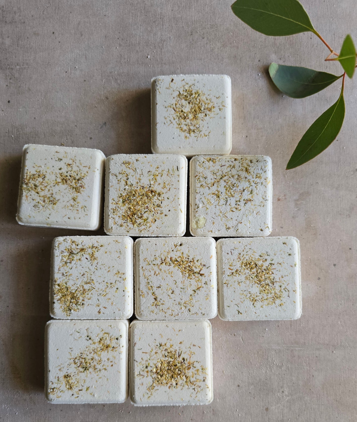 Renewal Shower Steamer – Pine Scotch, Eucalyptus & Lemongrass | Natural Aromatherapy for Energy & Mental Clarity