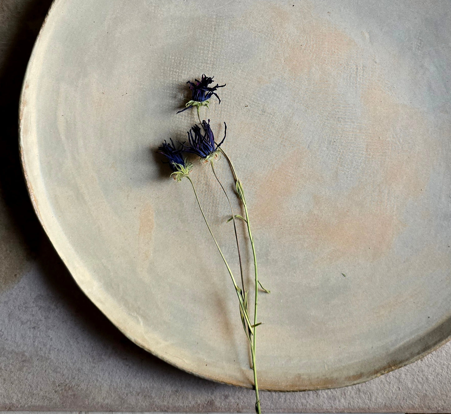 Handcrafted Round Ceramic Platter | Matte Earthy Beige with Apricot Glaze | Minimalist Timeless Serveware