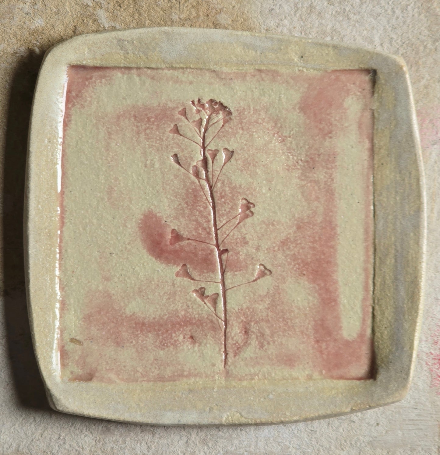 Pressed Botanical Trinket Dish — Pink Brushstroke on Biscuit Clay