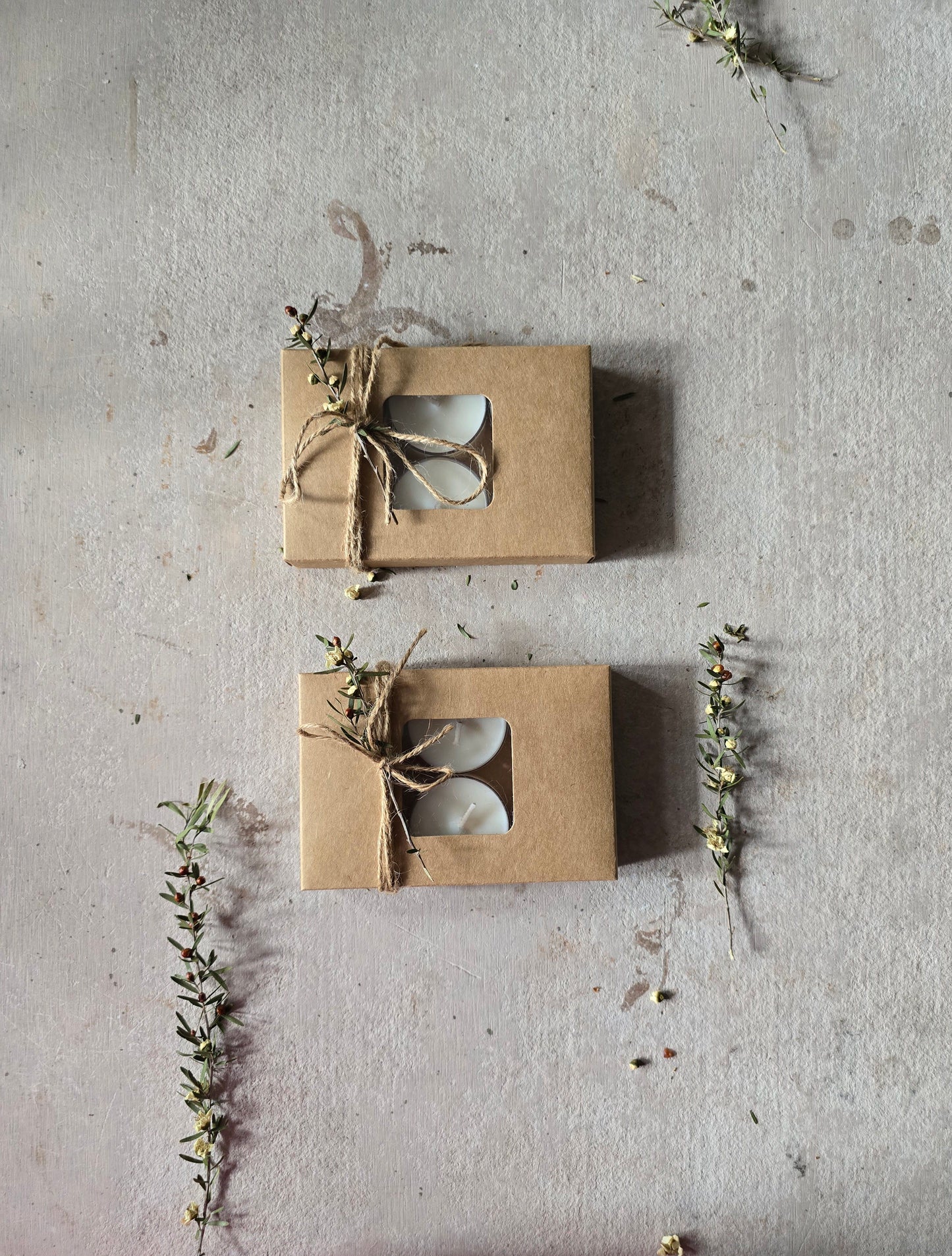 Coconut Wax Tealights- Pack of 6-Packaged in a Kraft Box With Window-Great small Gift-Clean Burning Tealights