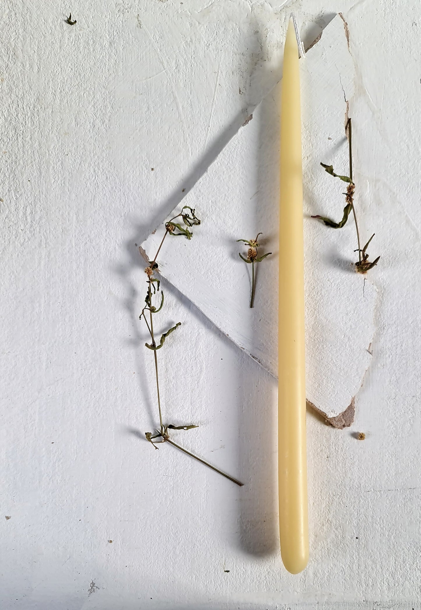 Buy a pair of Beeswax Dinner Candles, Get 50% of USB Lighter