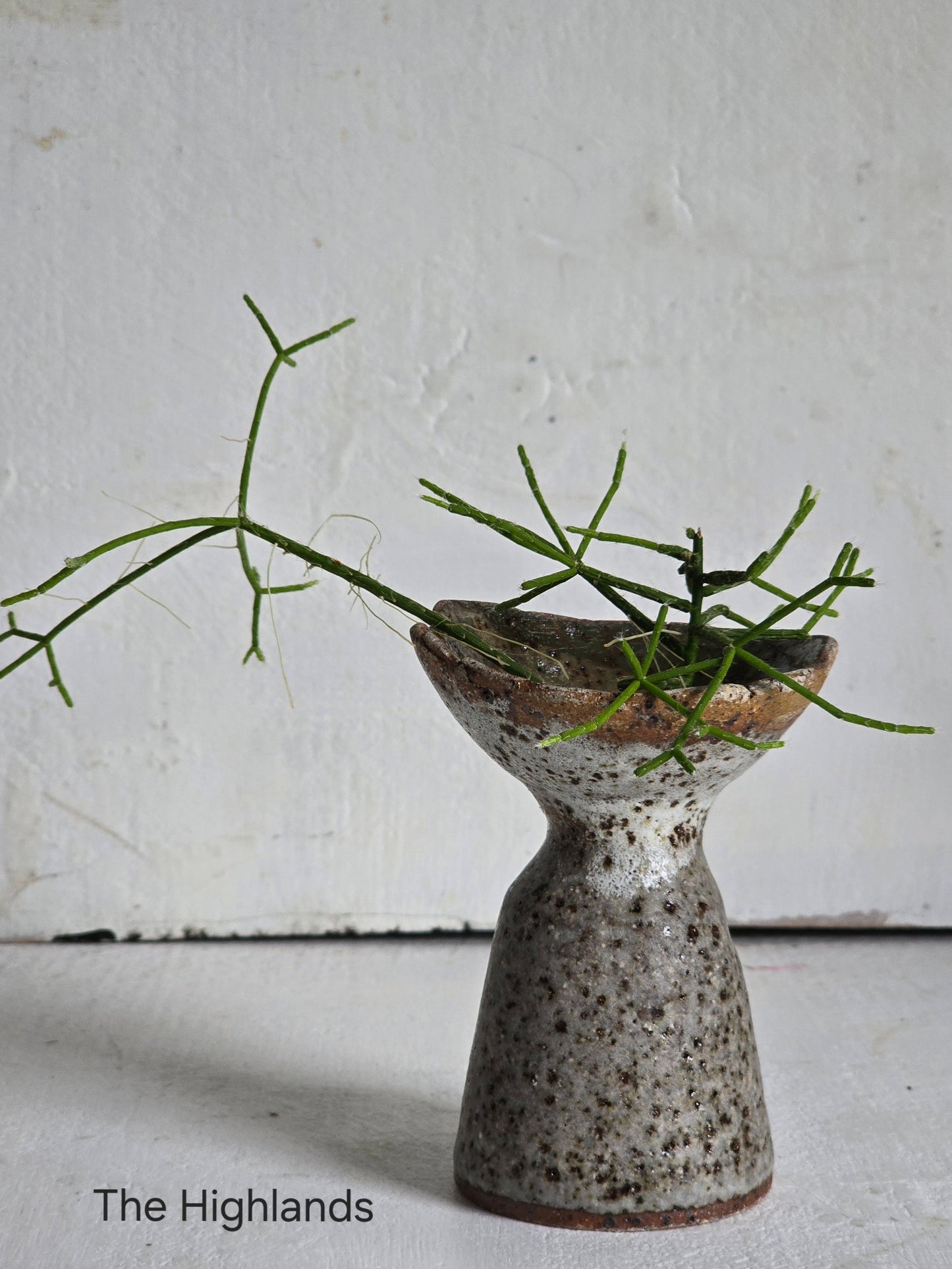 bird bath speckled vases