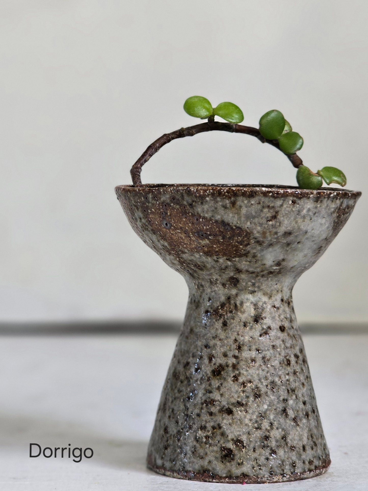 bird bath speckled vases