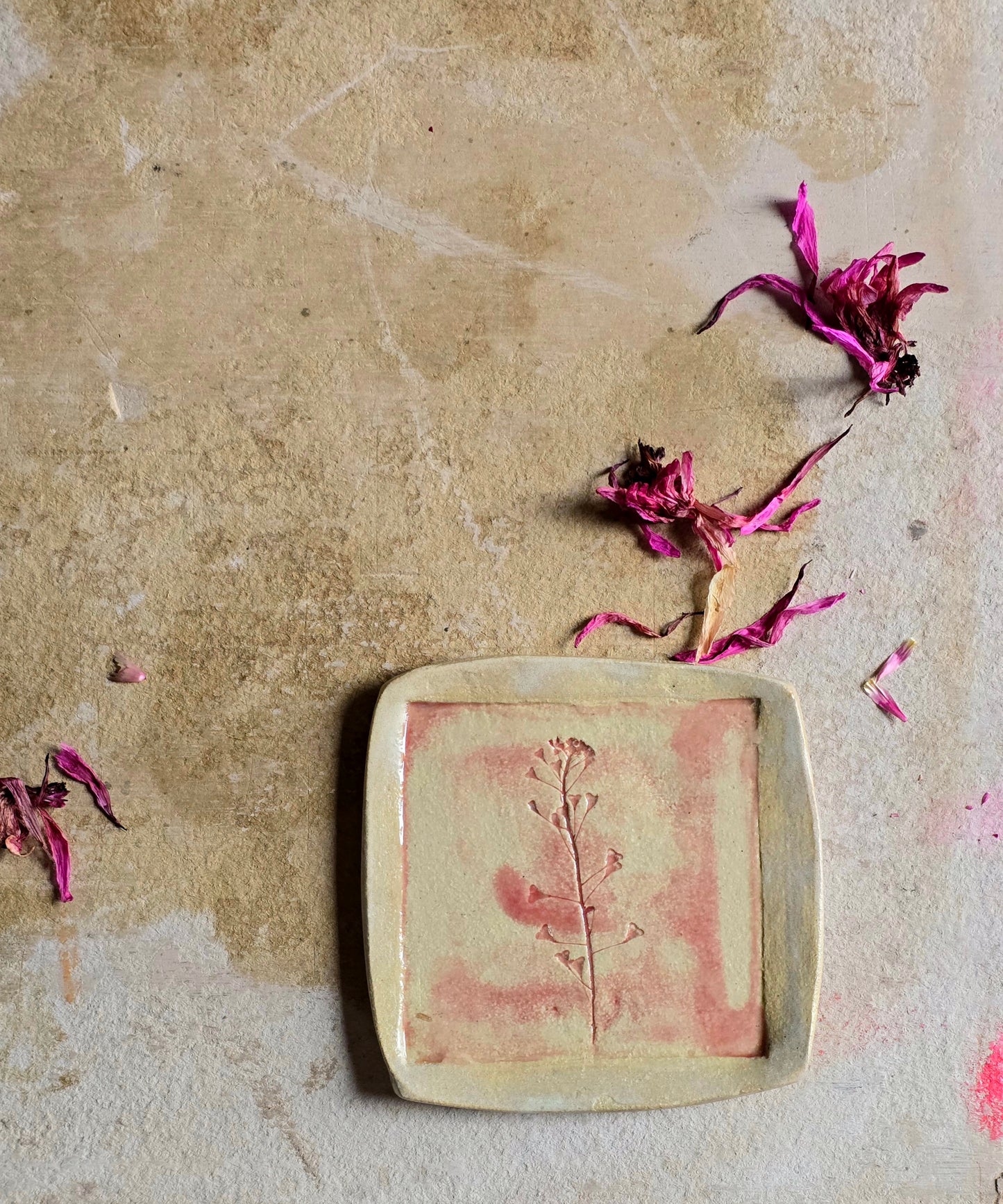 Pressed Botanical Trinket Dish — Pink Brushstroke on Biscuit Clay