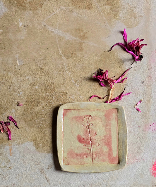 Pressed Botanical Trinket Dish — Pink Brushstroke on Biscuit Clay