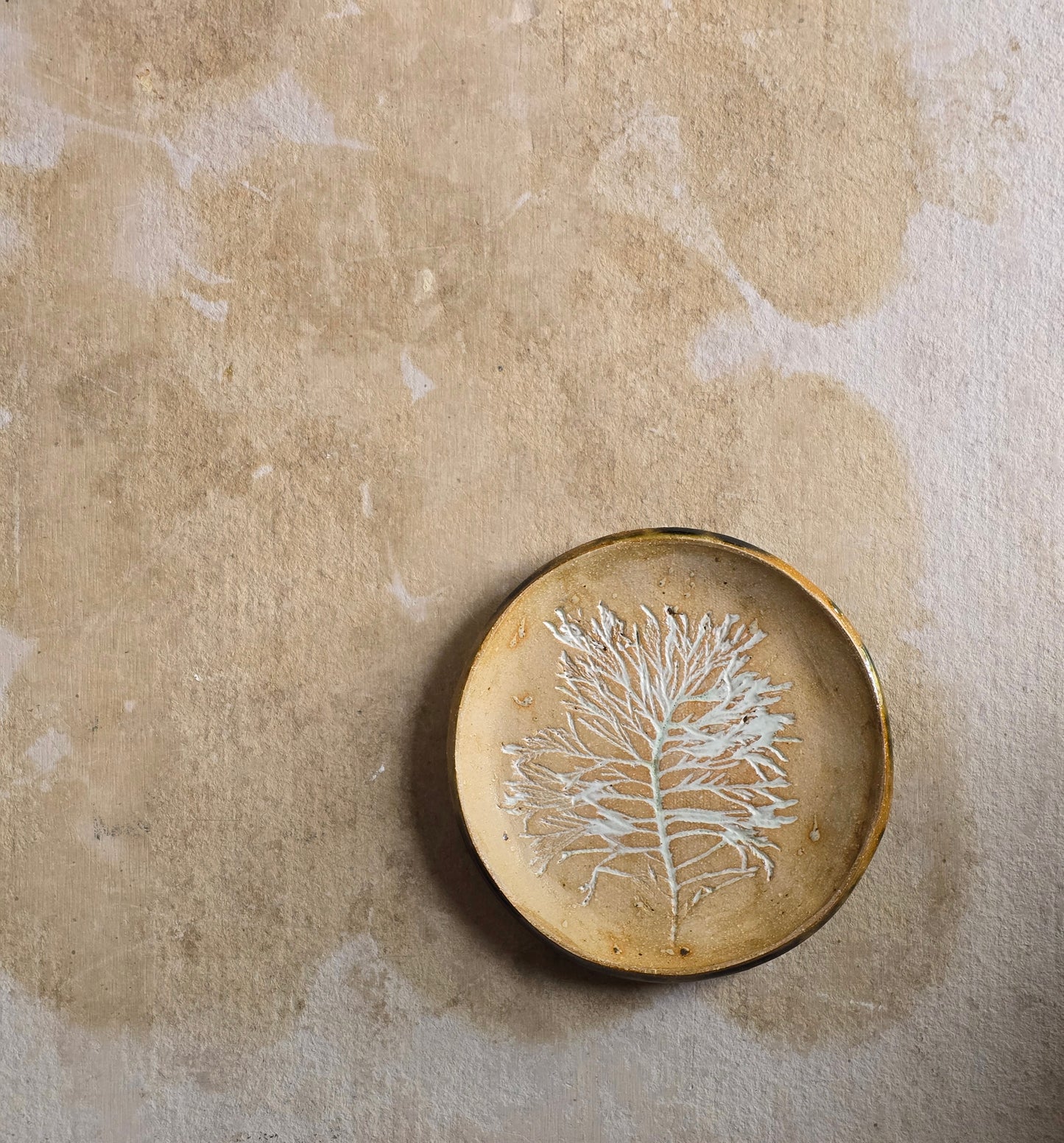 Handmade Ceramic Plate with White Inprinted Tree| Biscuit Clay with Tan Hues | Food Safe & Unique Gift