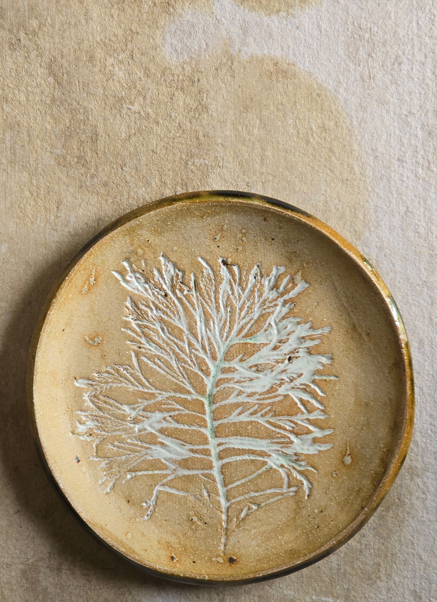 Handmade Ceramic Plate with White Inprinted Tree| Biscuit Clay with Tan Hues | Food Safe & Unique Gift