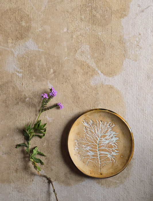 Handmade Ceramic Plate with White Inprinted Tree| Biscuit Clay with Tan Hues | Food Safe & Unique Gift
