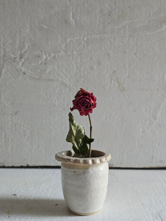 Handcrafted Little Scalloped Pot – Matte White with Raw Clay Collar