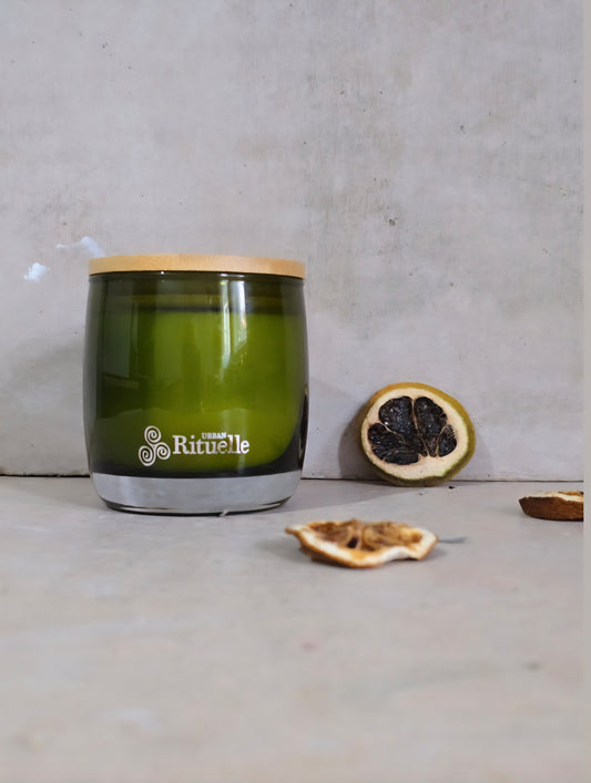 Lemongrass, Lemon Myrtle, Grapefruit & Eucalyptus – Fresh Citrus Herb Soy Coconut Candle